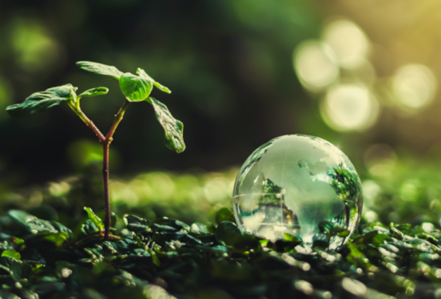 green-eco-02